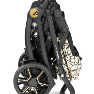 Book_Closed_GraphicGold