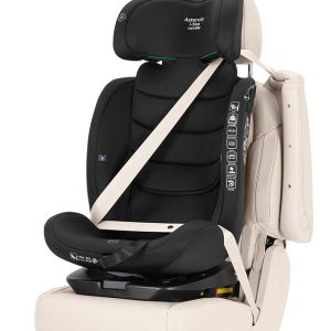 CARRELLO Asteroid I_Size CRL-17001