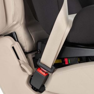 CARRELLO Asteroid I_Size CRL-7001_8