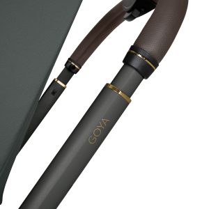 Goya 2in1 with carrycot Platinum Olive_31001020172_19__